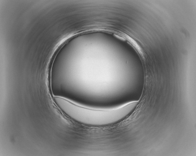 X0000116021051200912041746