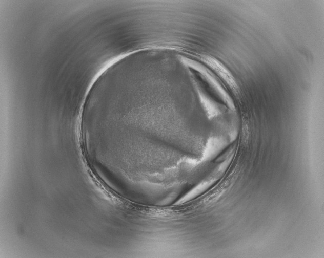 X0000116021052200912041746