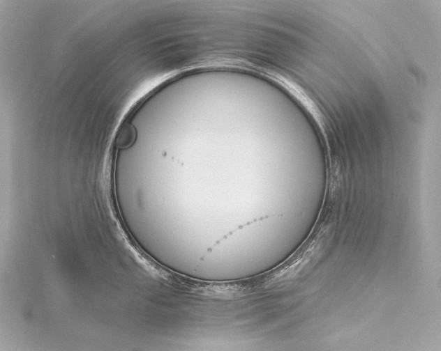 X0000116021053200912041746