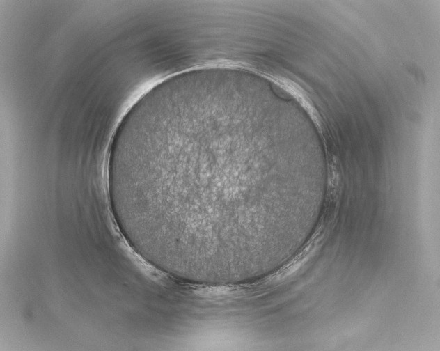 X0000116021054200912041746