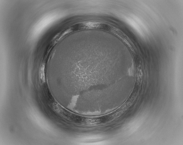 X0000116021055200912041746