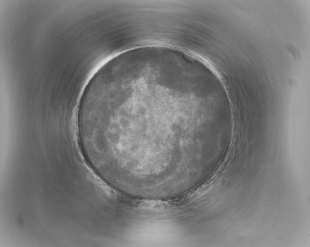 X0000116021056200912041746