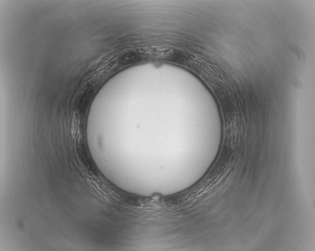 X0000116021058200912041745