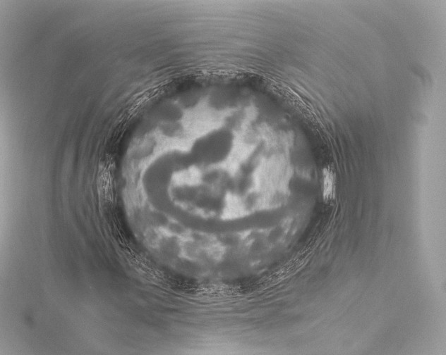 X0000116021059200912041745