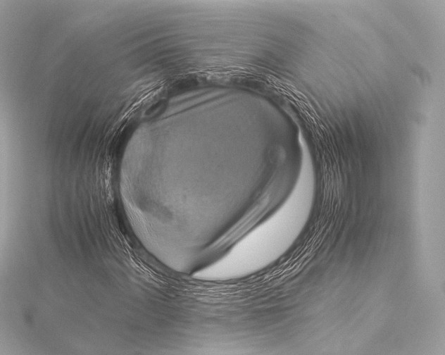 X0000116021060200912041745