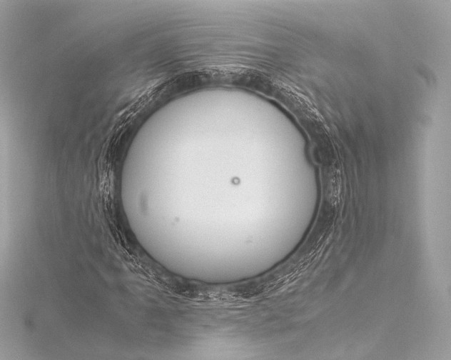 X0000116021061200912041745