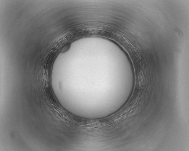 X0000116021062200912041745