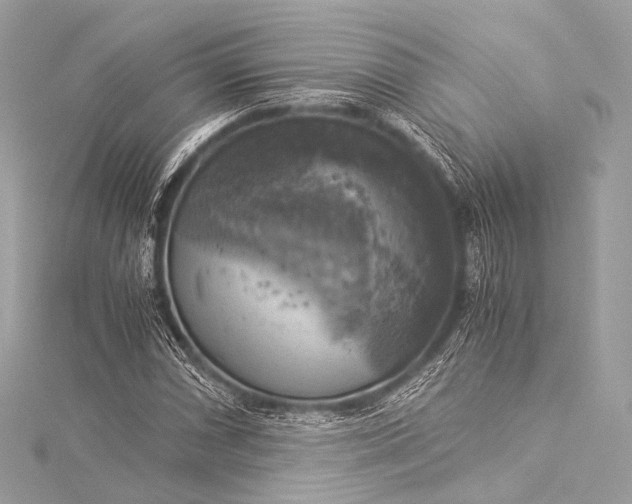 X0000116021066200912041745