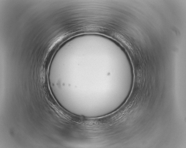 X0000116021067200912041745