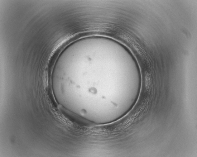 X0000116021069200912041745