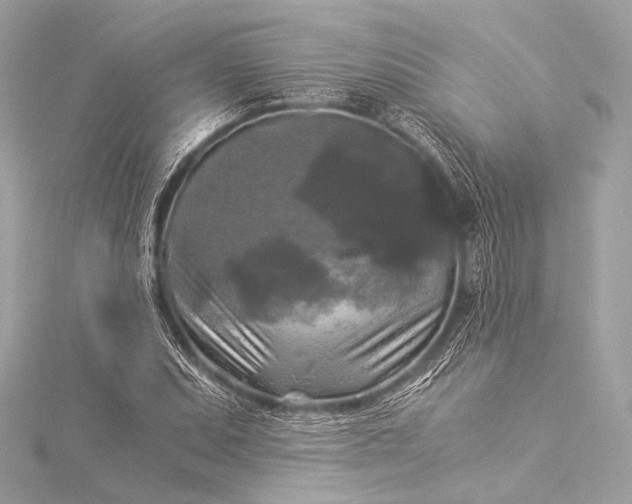 X0000116021071200912041745