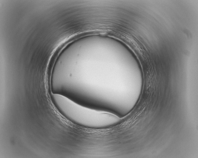 X0000116021072200912041745