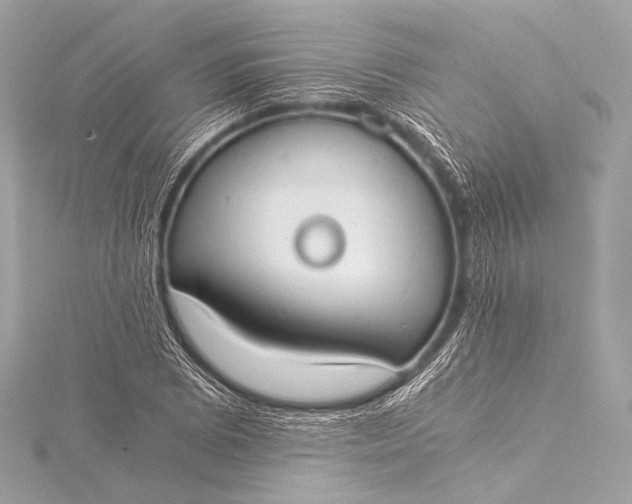 X0000116021073200912041745