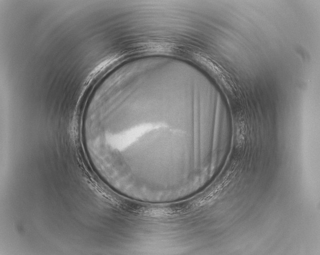 X0000116021074200912041745