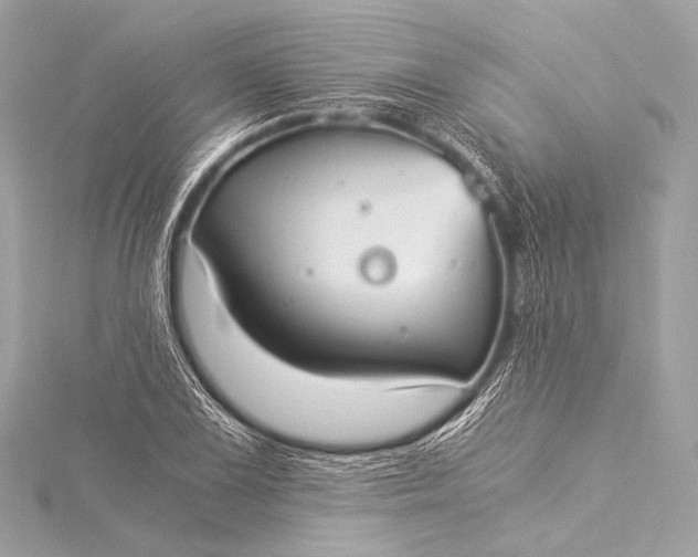 X0000116021075200912041745