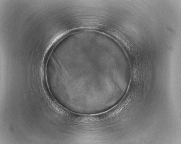 X0000116021077200912041745