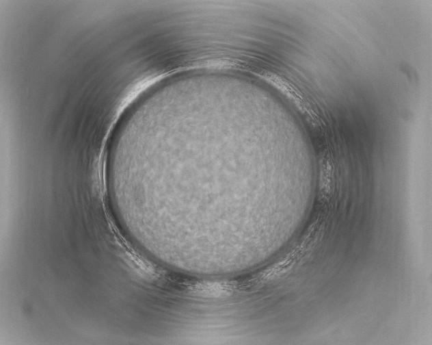 X0000116021078200912041745