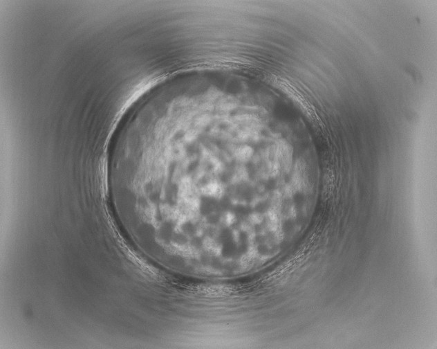 X0000116021079200912041745