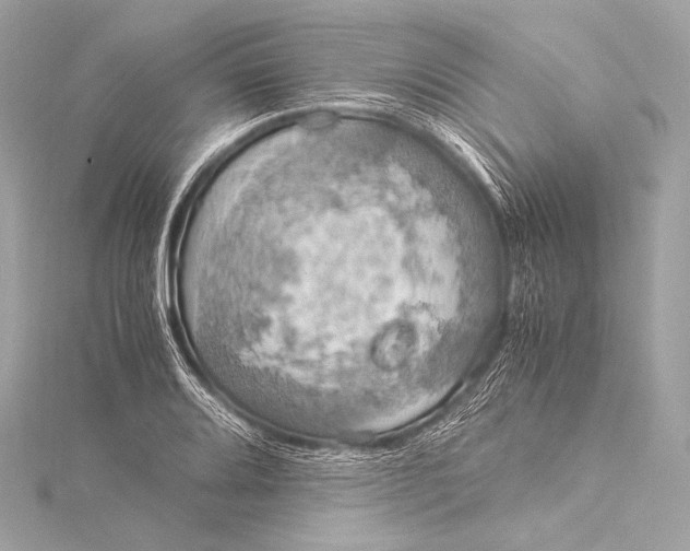 X0000116021080200912041745