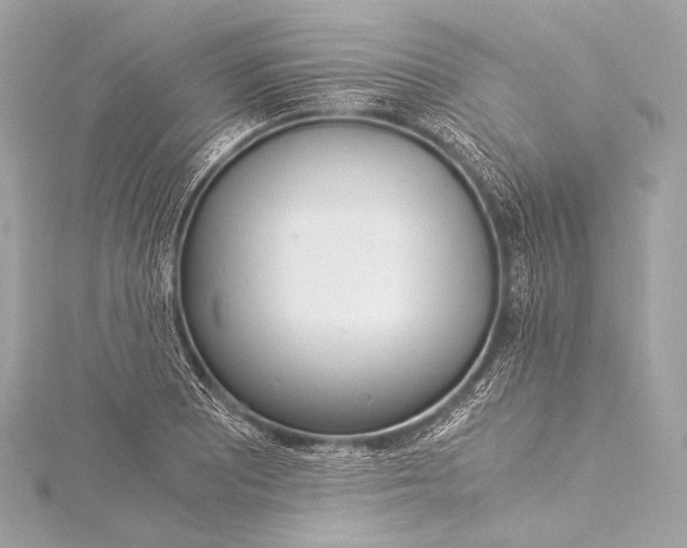 X0000116021081200912041745