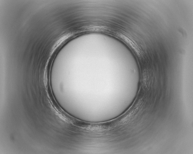 X0000116021082200912041745