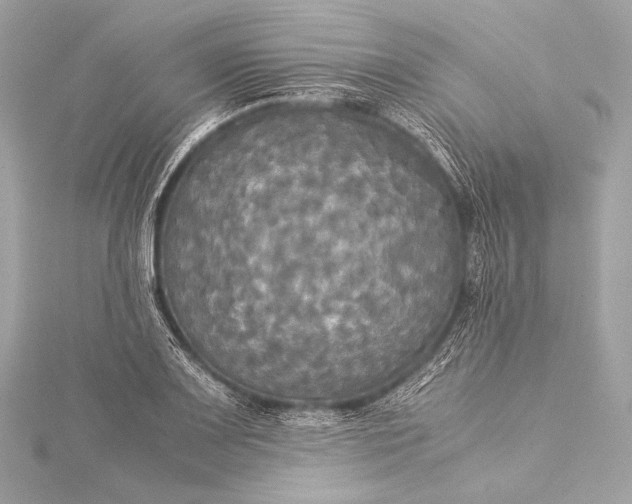 X0000116021083200912041745