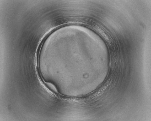 X0000116021084200912041745