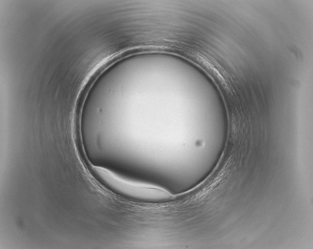 X0000116021085200912041745