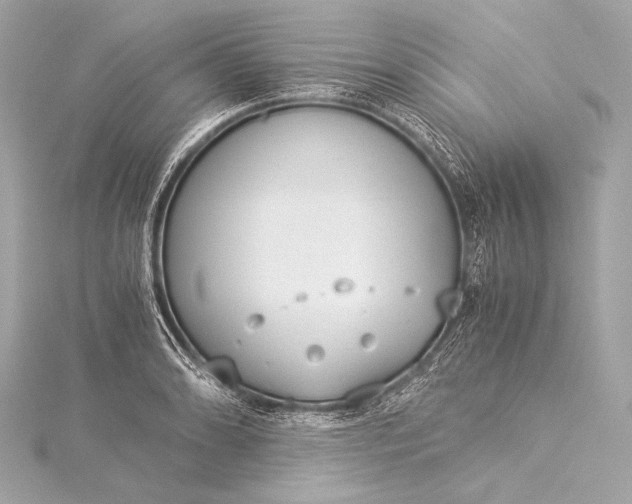 X0000116021086200912041745