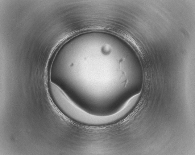 X0000116021088200912041745