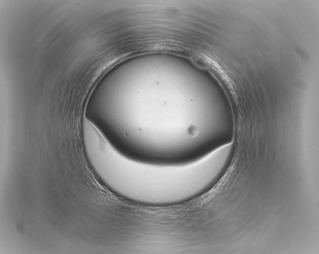 X0000116021089200912041745