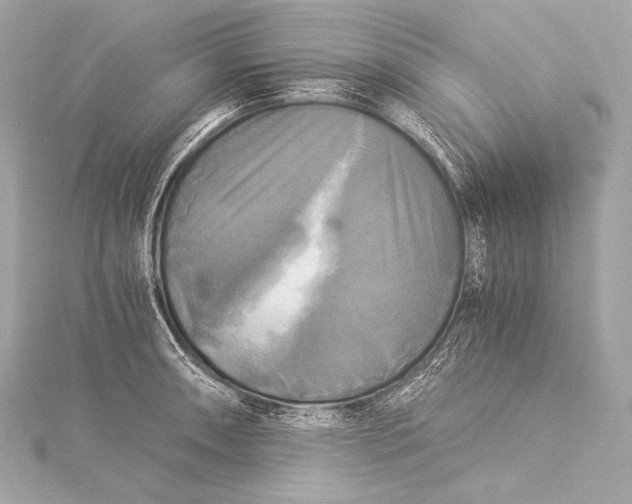 X0000116021090200912041745