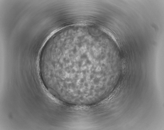 X0000116021091200912041745