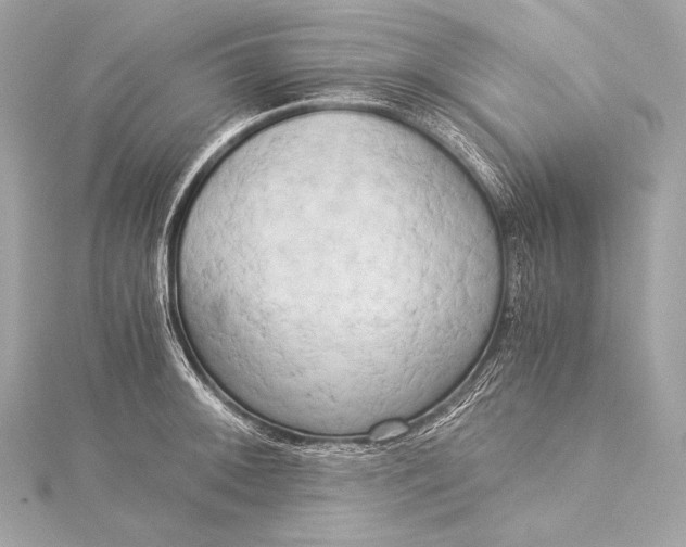 X0000116021092200912041745