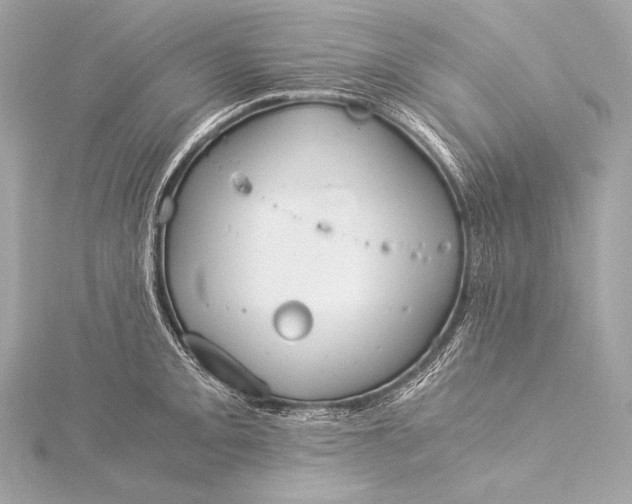 X0000116021093200912041745