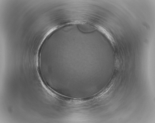 X0000116021095200912041745