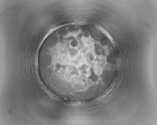 X0000116021099200912041745