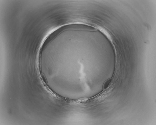 X0000116021104200912041745