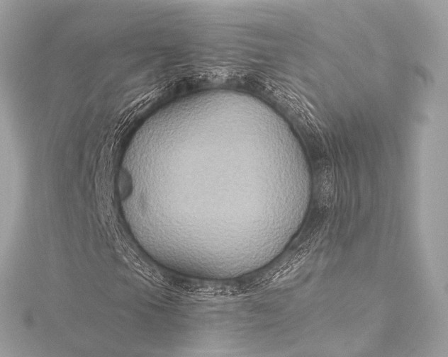 X0000116021105200912041744