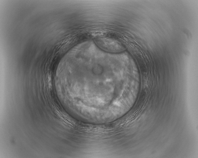 X0000116021106200912041744