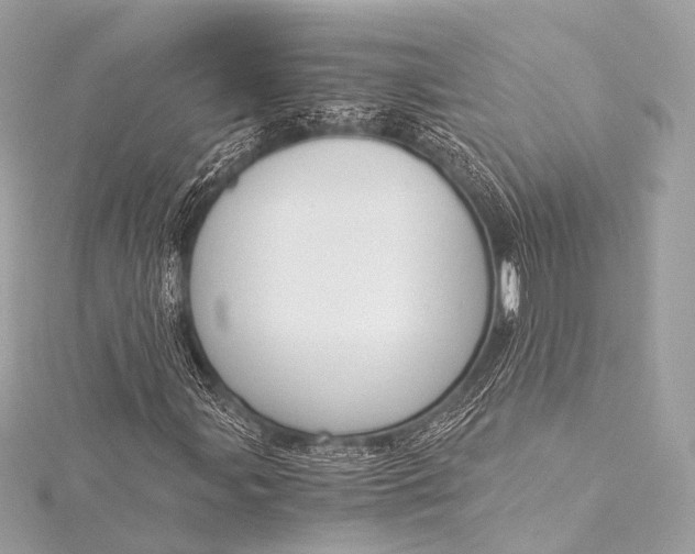 X0000116021107200912041744