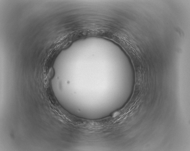 X0000116021109200912041744