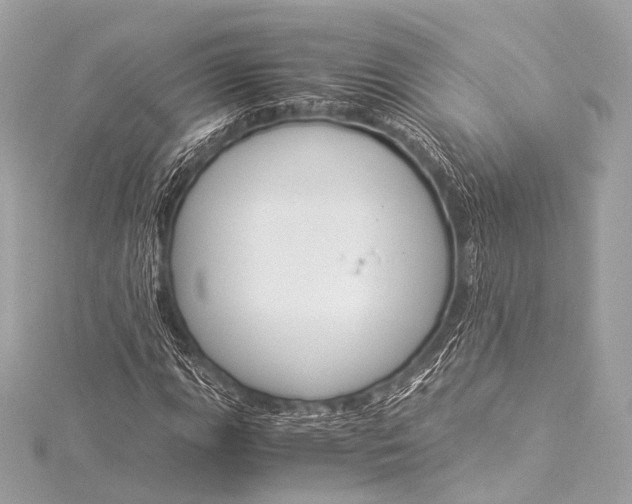 X0000116021111200912041744