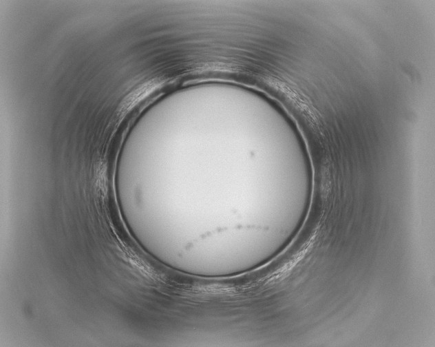 X0000116021113200912041744