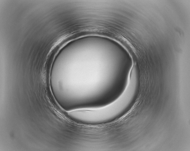 X0000116021114200912041744