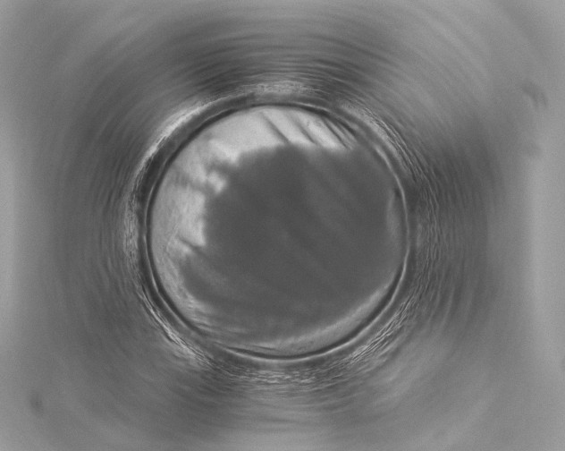 X0000116021115200912041744