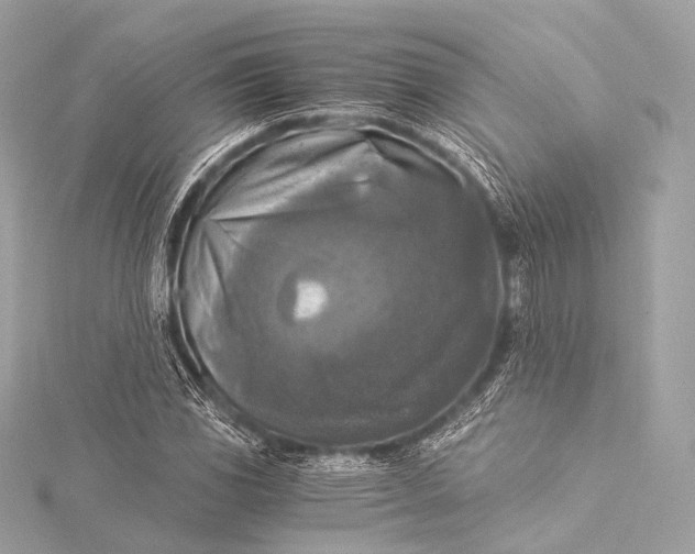 X0000116021117200912041744