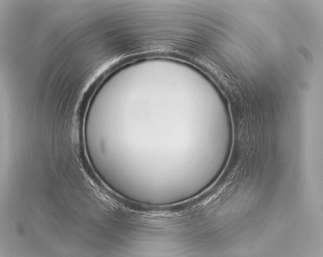 X0000116021118200912041744