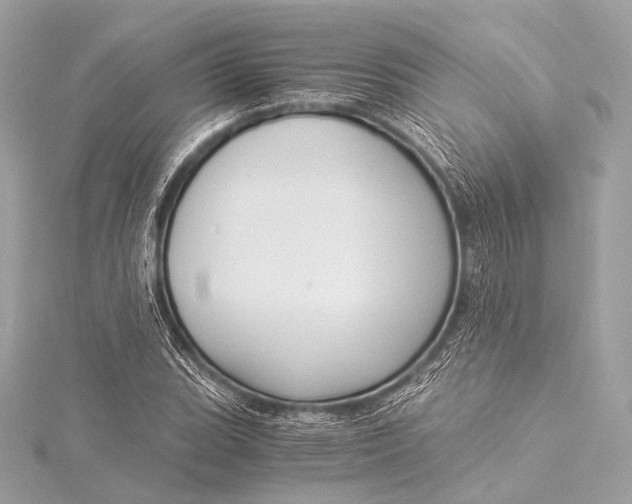 X0000116021119200912041744