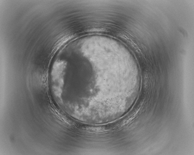 X0000116021121200912041744